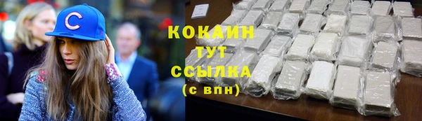 PSILOCYBIN Аркадак