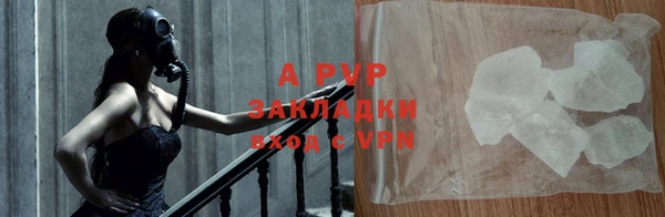 PSILOCYBIN Аркадак