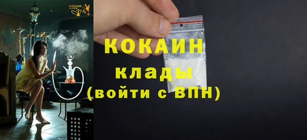 твердый Арсеньев