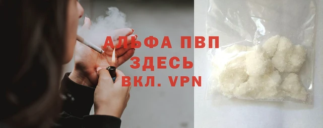 PSILOCYBIN Аркадак