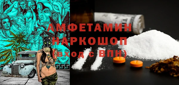 твердый Арсеньев