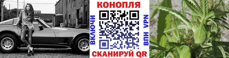 Канабис сатива  как найти закладки  Междуреченск 